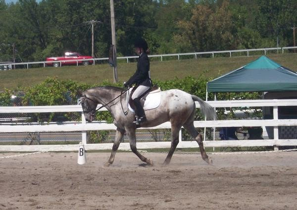 You Don’t Need to Own a Horse to Start Learning